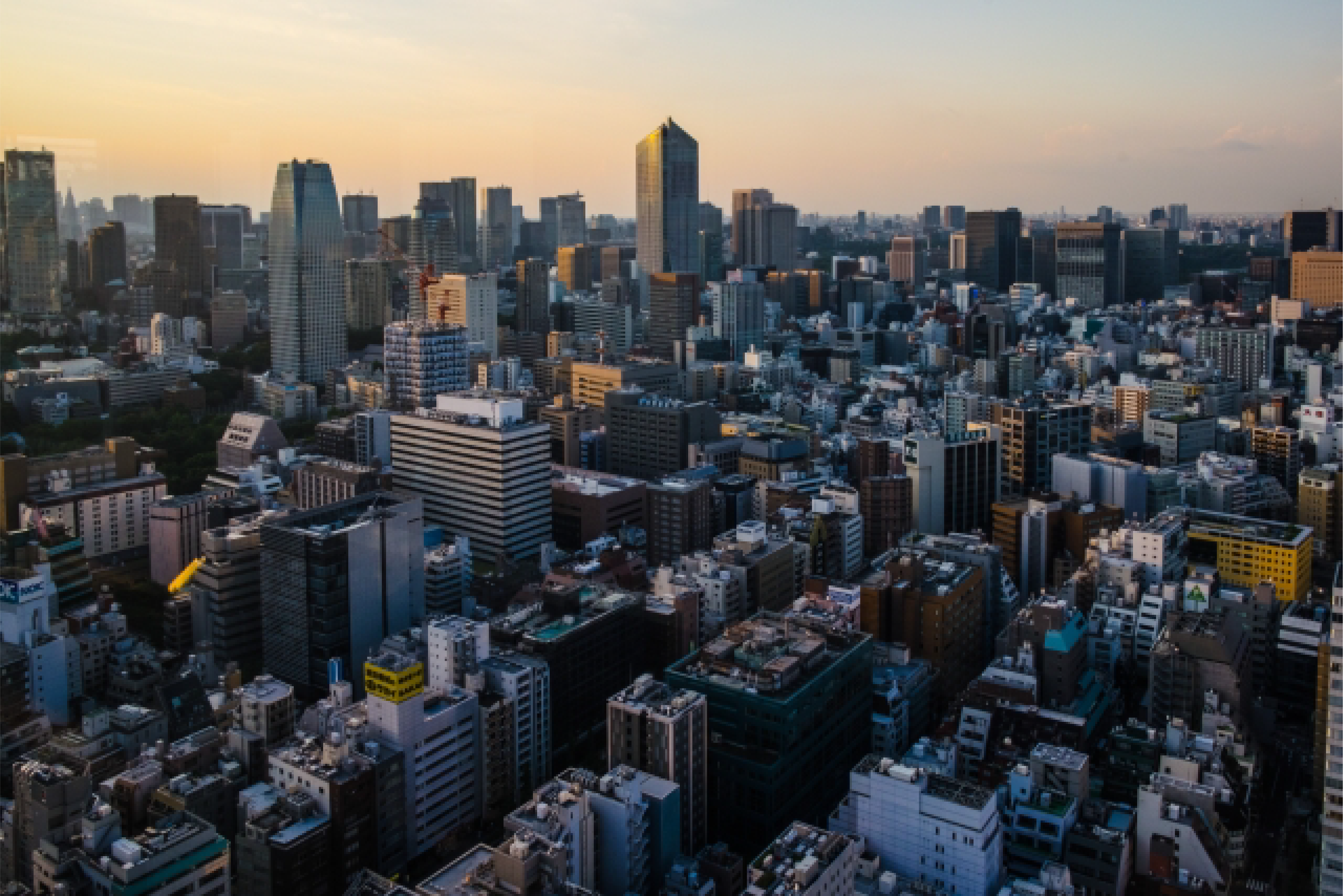 料金セクション背景